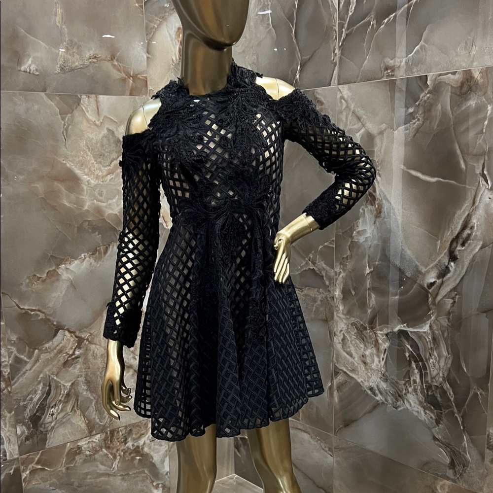 Thurley Black Mesh Lace Dress